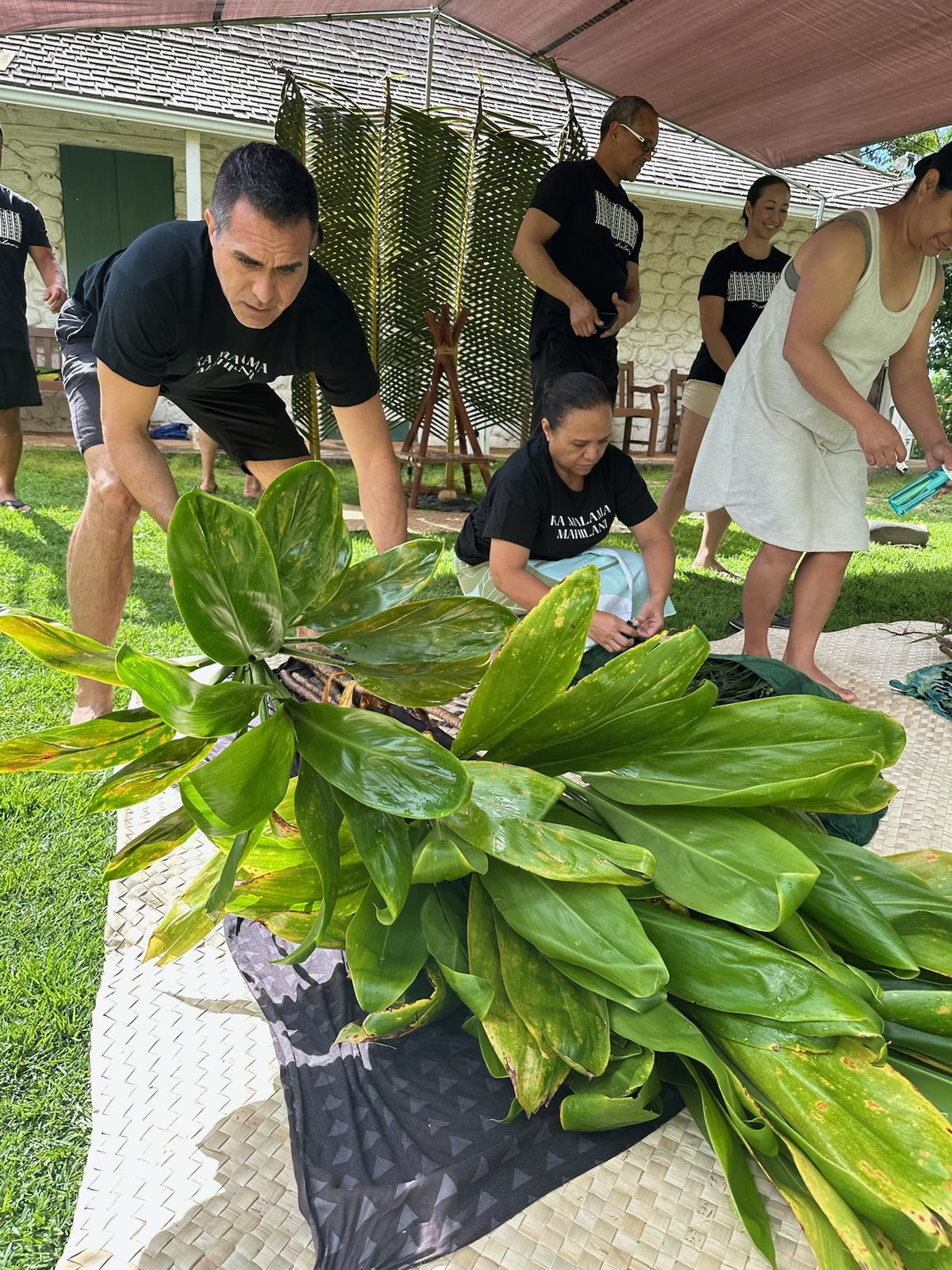 Keoni carrying bundles of lāʻī and kalo